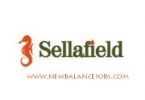 graduate trainee program at Sellafield limited