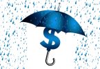 State Farm Umbrella Insurance Frequently Ask Questions {FAQ}