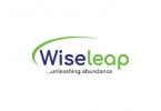 Wiseleap Company