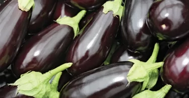 Eggplants