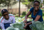 Mastercard Foundation BRIDGE-in Agriculture training program