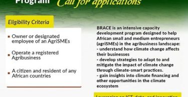 African Food Changemakers BRACE Capacity Development Program For Agripreneurs (SMEs)
