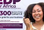 EDP for Africa Business Grant