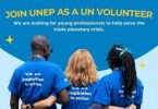 UNEP UNV Young Talent Pipeline Program