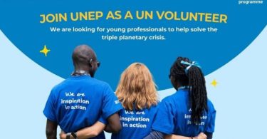 UNEP UNV Young Talent Pipeline Program