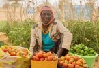 WFP Niger Innovation Challenge