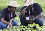 Accelerating African Women’s Leadership in Climate Action Fellowship