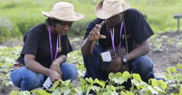 Accelerating African Women’s Leadership in Climate Action Fellowship