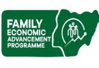 Family Economic Advancement Grant