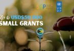 Global Environment Facility Small Grants Program