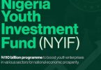 Nigeria Youth Investment Fund ( N110 Billion in Grants, Loans and Equity for Young Entrepreneurs and Startups)