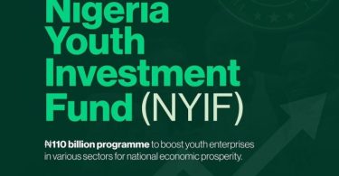 Nigeria Youth Investment Fund ( N110 Billion in Grants, Loans and Equity for Young Entrepreneurs and Startups)