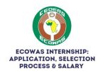 ECOWAS Immersion Internship Program