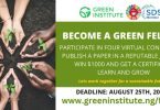 Green Institute Fellows Program