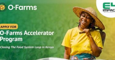 O-Farms Accelerator Program