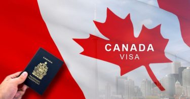 Canada Offers Visa-Sponsored Egg Packing Jobs to Foreign Workers