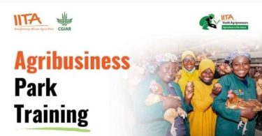 IITA Agribusiness Training Program