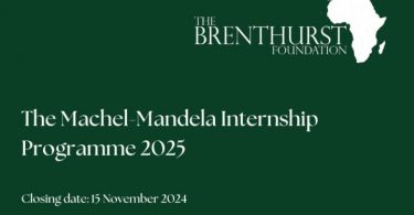 The Brenthurst Foundation Machel-Mandela Internship Program