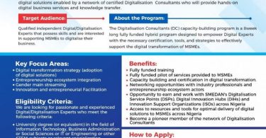 GIZ-DTC Digitalization Consultants Capacity Building Program