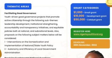 NYFF Youth Leadership Development Fund