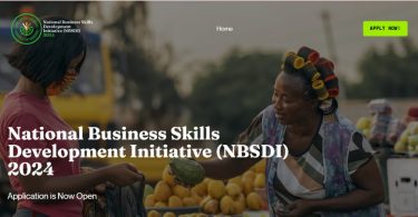 SMEDAN National Business Skills Development Initiative (NBSDI)