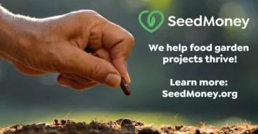 SeedMoney Challenge