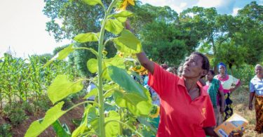 Resilient Agriculture Innovations for Nature (RAIN) Challenge phase III