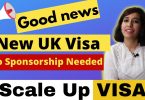 UK Scale-up Visa