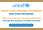 UNICEF Youth Foresight Fellowship