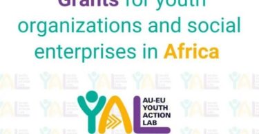 AU-EU Youth Action Lab Entrepreneurship Grants