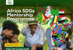 Africa SDGs Mentorship Program