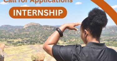 African World Heritage Fund Remote Internship