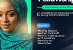 Impact Fellowship 3.0 Enovate Lab paid Internship Opportunity