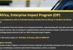 EY Africa Enterprise Impact Program (EIP)