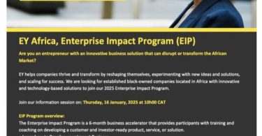 EY Africa Enterprise Impact Program (EIP)