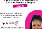 Shecluded x CFYE Dream to Business Incubator Program