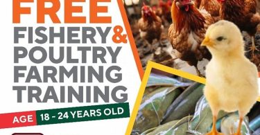 LASTVEB_IITA Free Fishery and Poultry Farming Training