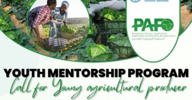 UN FAO-PAFO Youth Mentorship Program